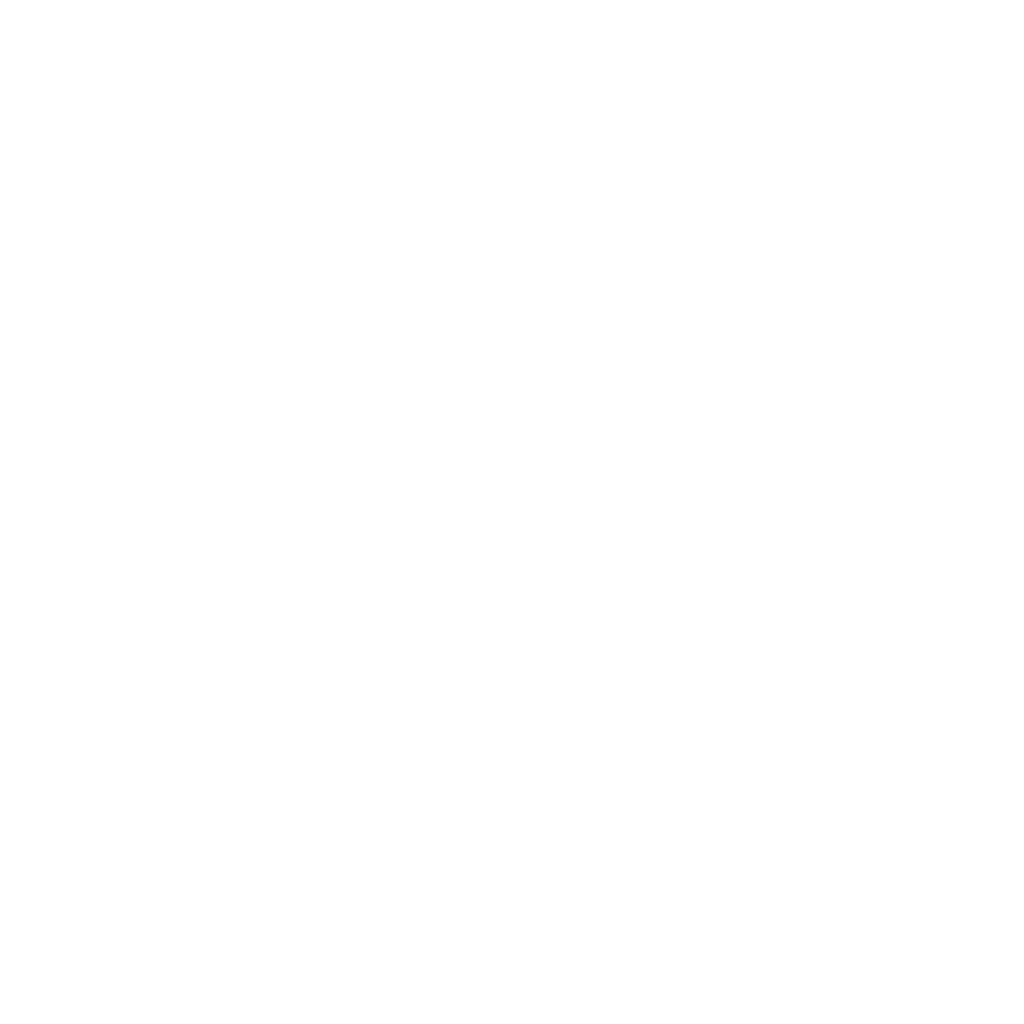Flighko Logo